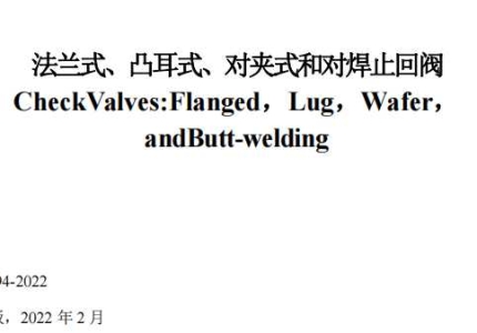 API STD 594-2022中文版